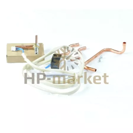 Вентиль управления для ZBD 21-45 230V AC c комплектом фиттингов